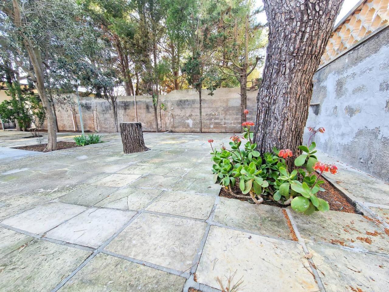 Villa Turchese Santisidoro Nordsudcasavacanza Torre Squillace Zewnętrze zdjęcie