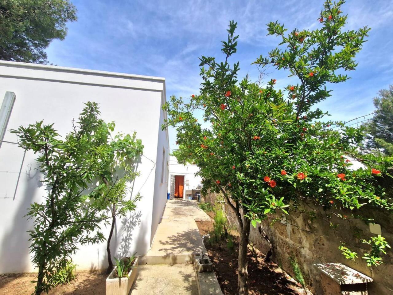Villa Turchese Santisidoro Nordsudcasavacanza Torre Squillace Zewnętrze zdjęcie